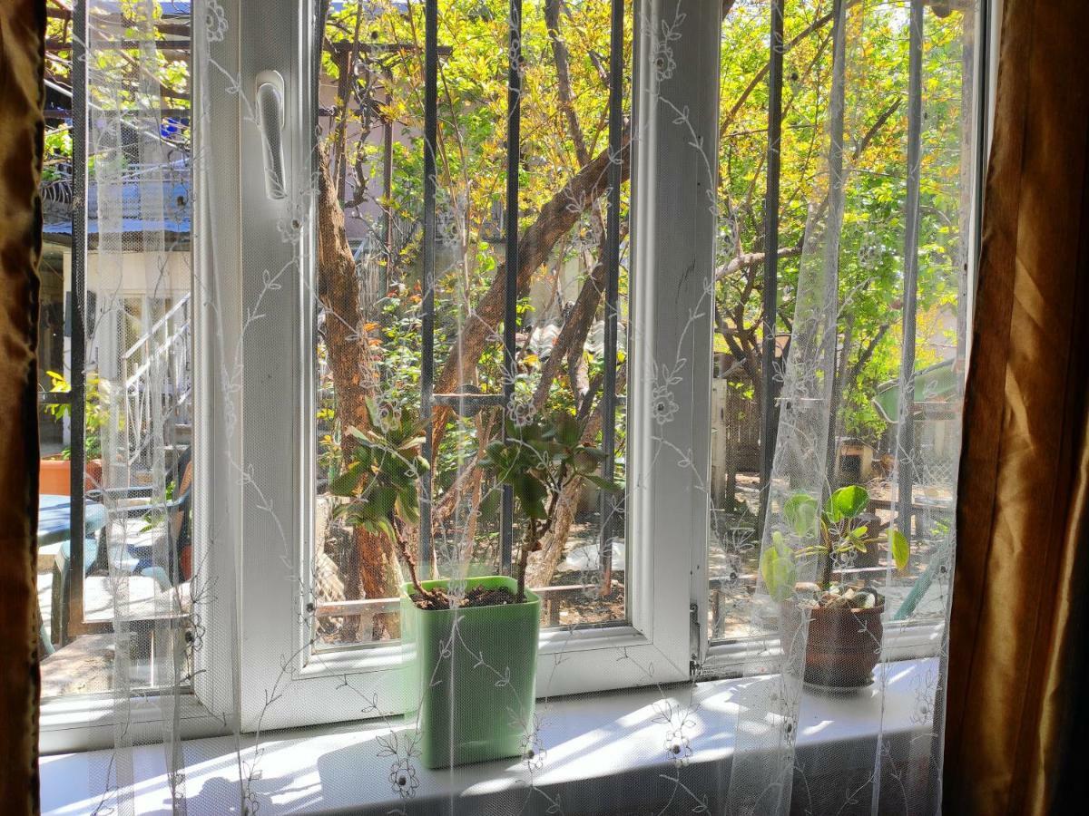 Guesthouse Ttt ティビリシ エクステリア 写真