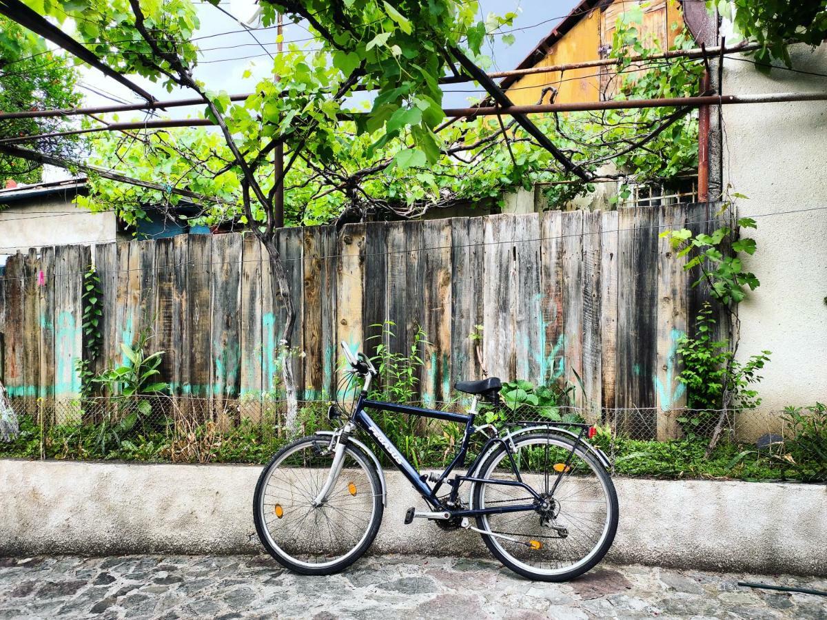 Guesthouse Ttt ティビリシ エクステリア 写真